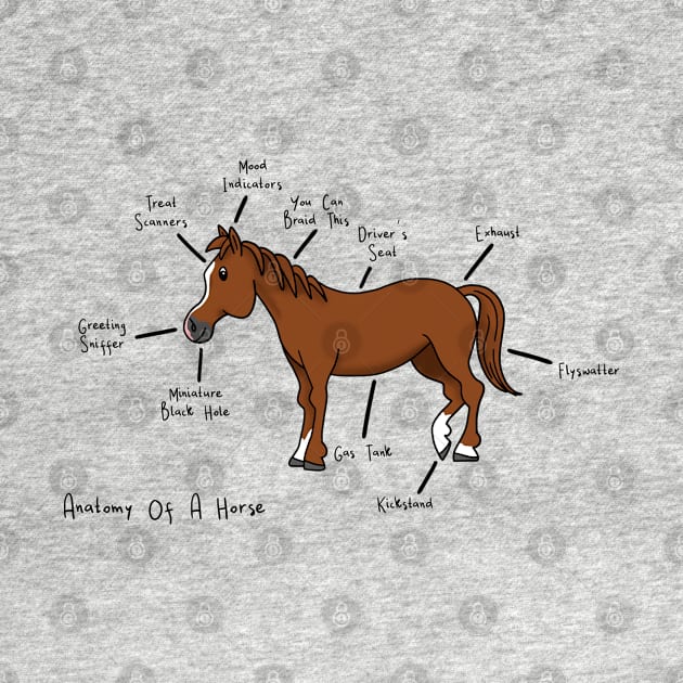 Anatomy of a Horse by Ory Photography Designs